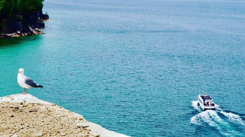 On the North Country Trail near Mosquito Beach Campground
#lakesuperior
#BVSBlue
#wanderlust
#picturedrocks
#nationalparks