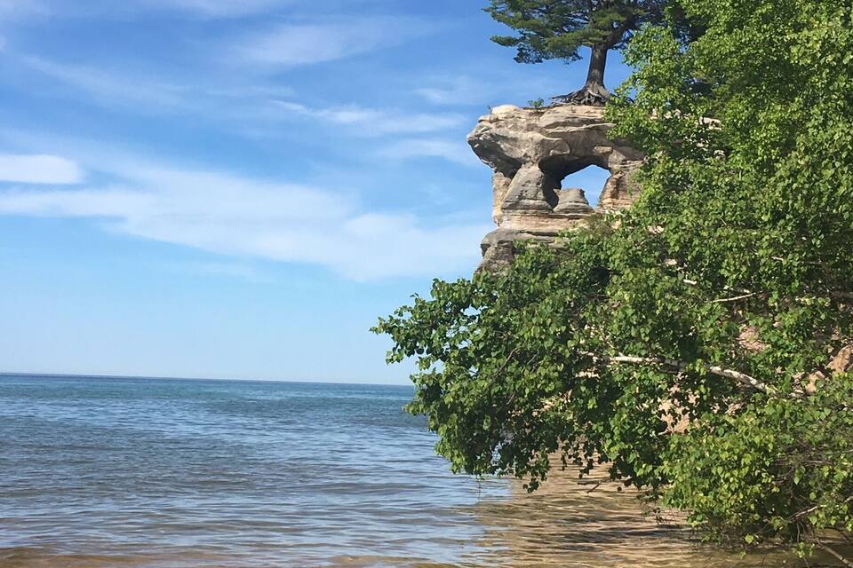 A rocky cliff with a tree growing on top, overlooking a calm body of water.