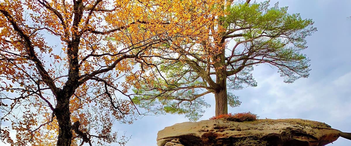 Chapel Rock