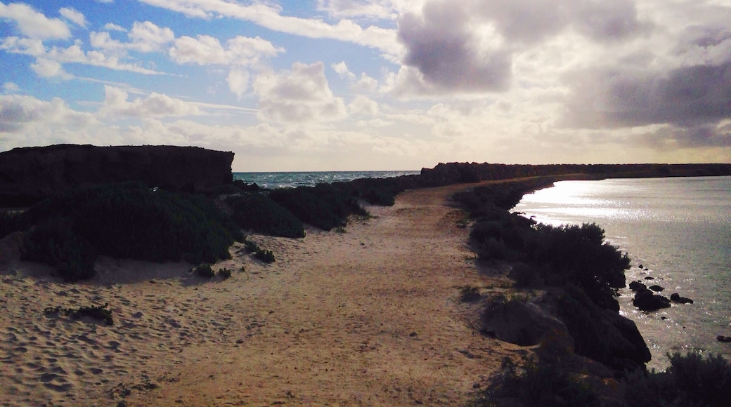 Fishing beach I think