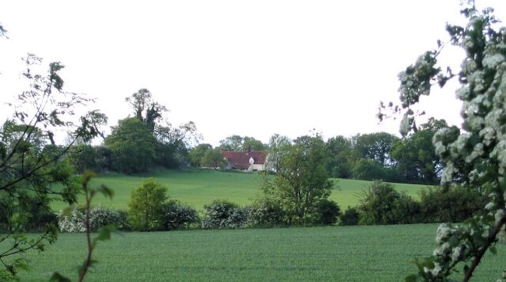 Farmland, Haynes, Beds. view N from the John Bunyan Way towards Northwood End Road.
