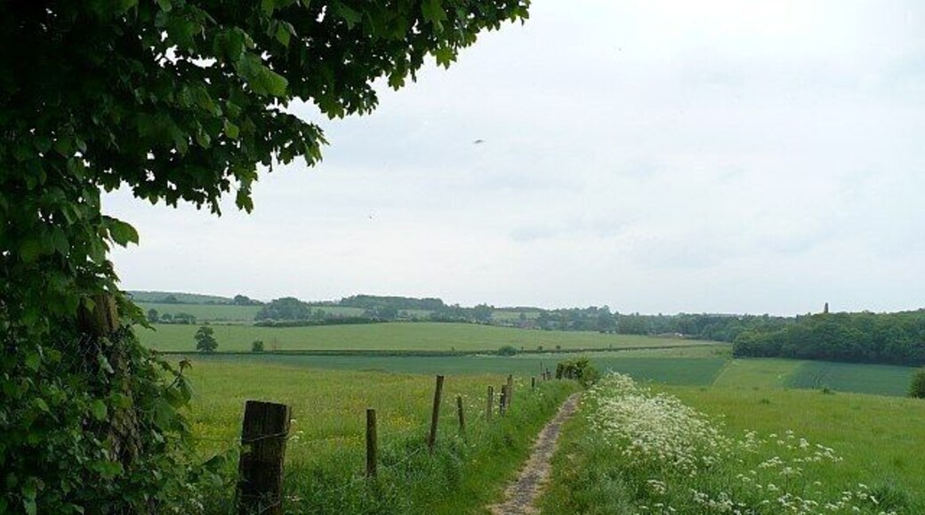 Footpath from Haynes to Church End