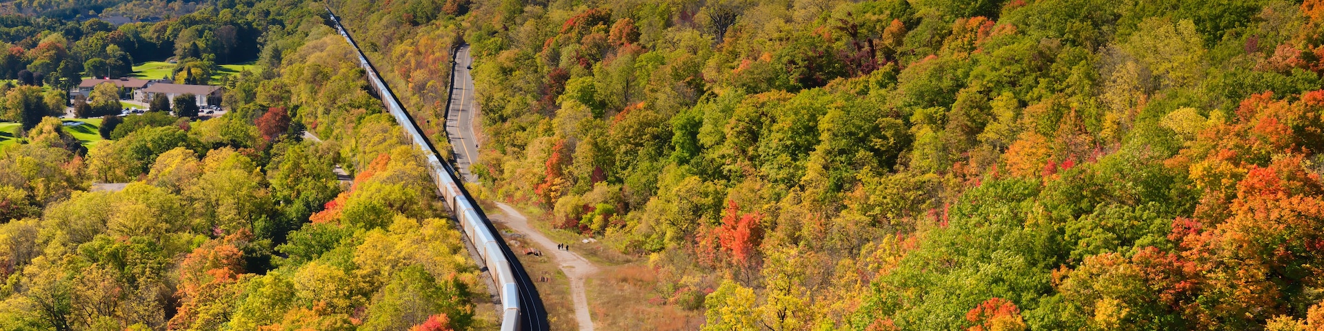 Un tren viajando por un valle arbolado con follaje otoñal.