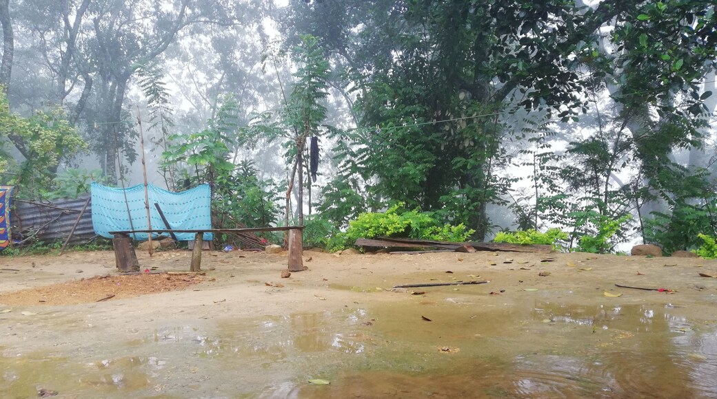 Raineg time in peelikkarai