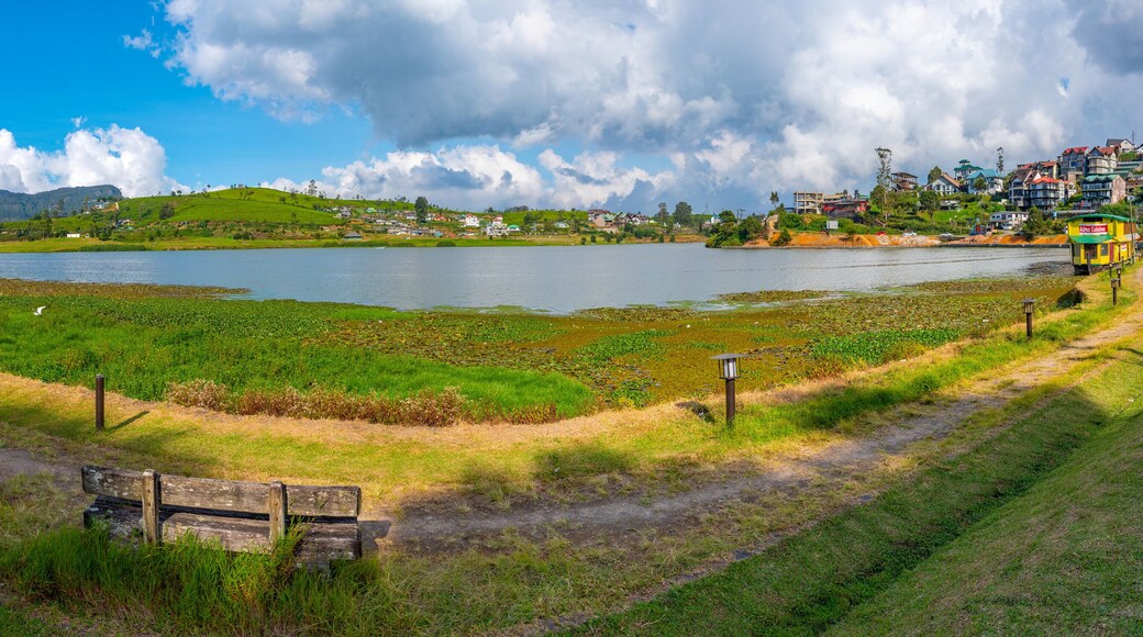 Lake Gregory at Nuwara Eliya, Sri Lanka