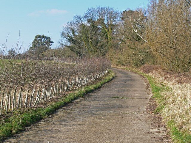 Narrow lane south of Burrough on the Hill