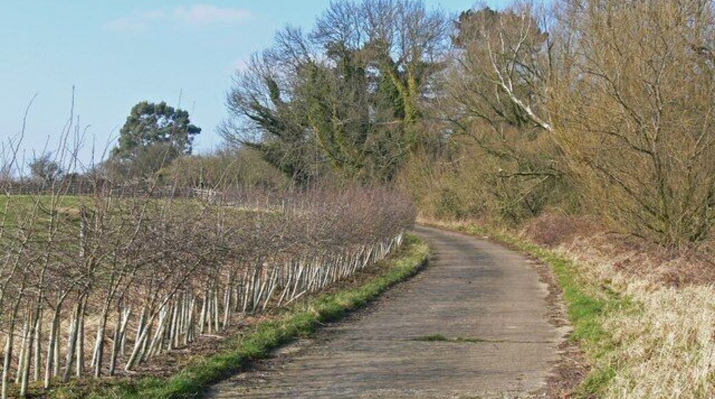 Narrow lane south of Burrough on the Hill