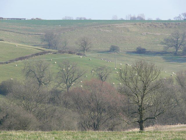 Countryside between Burrough on the Hill and Somerby