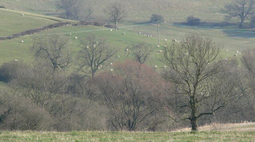 Countryside between Burrough on the Hill and Somerby