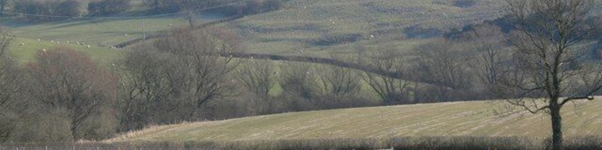 Um campo gramado com uma árvore e uma cerca em primeiro plano, e colinas onduladas ao fundo.