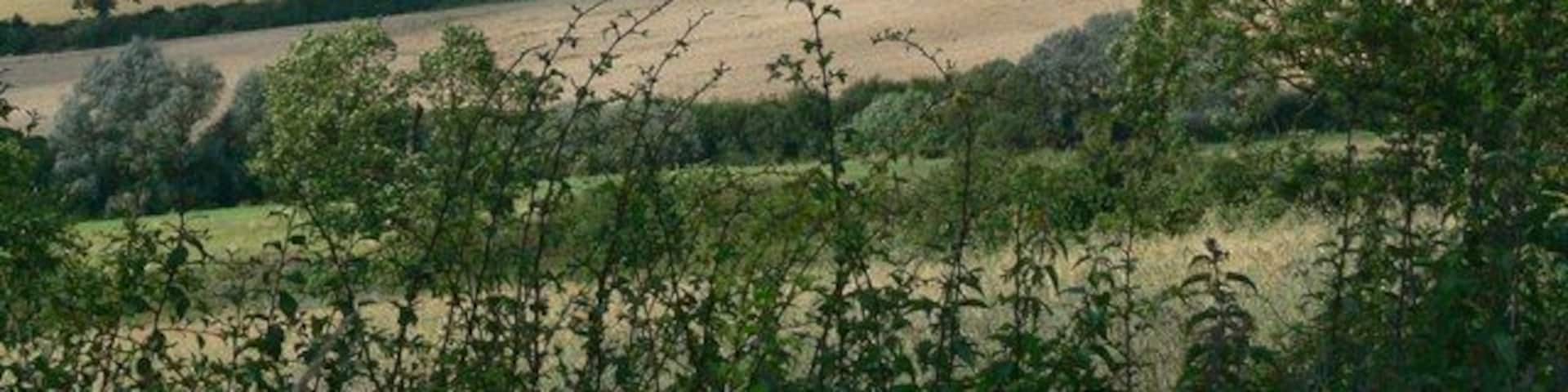 Atlas of Hillforts 1000 A view of Burrough Hill At 690 feet above sea level, the hill is crowned by an Iron Age hill fort.