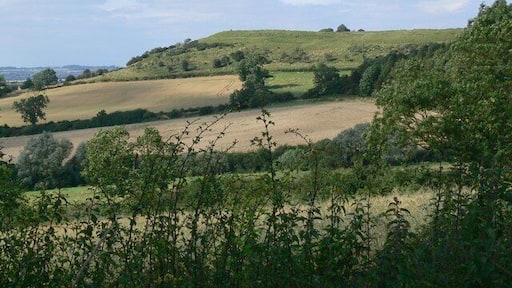 Atlas of Hillforts 1000 A view of Burrough Hill At 690 feet above sea level, the hill is crowned by an Iron Age hill fort.