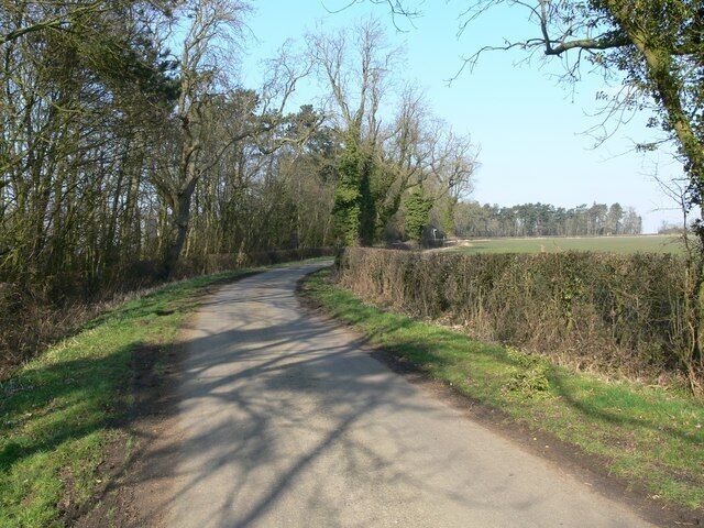 Marefield Lane south of Burrough on the Hill