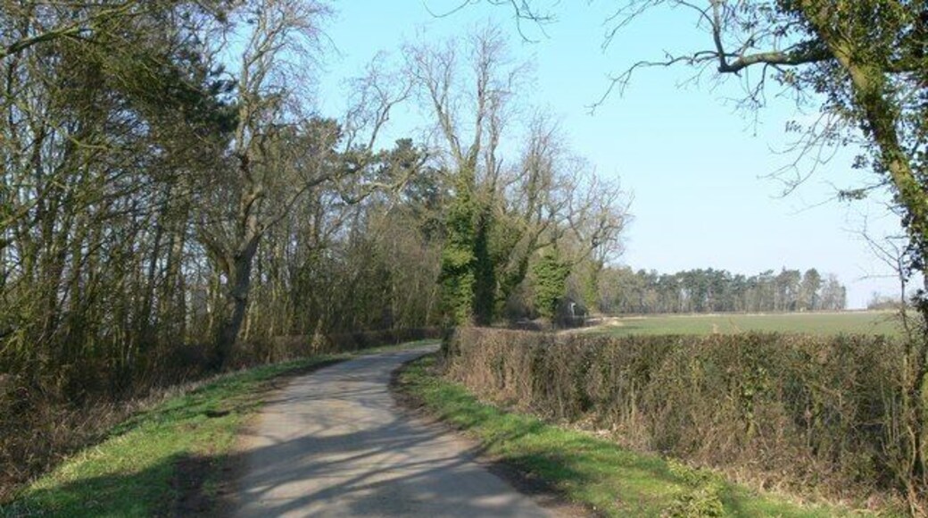 Marefield Lane south of Burrough on the Hill