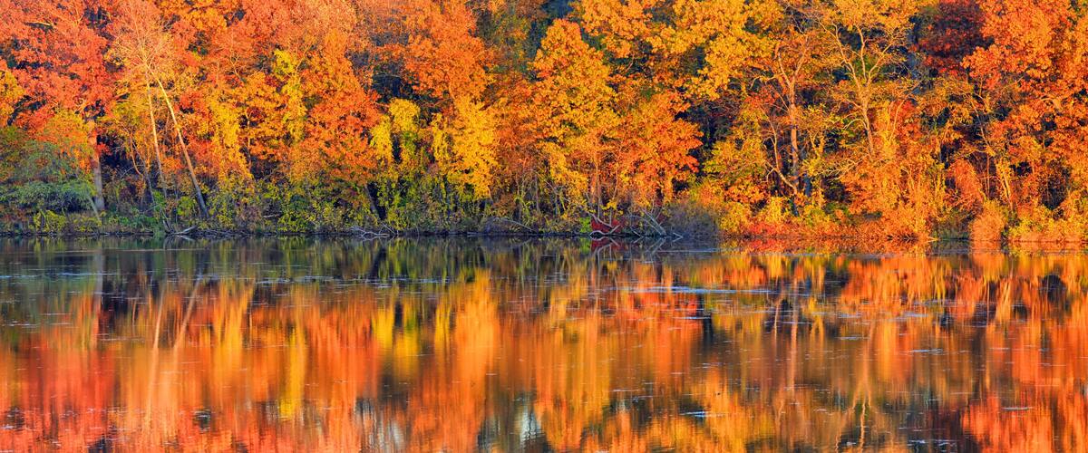 A lake reflecting autumn foliage with vibrant orange and yellow trees.