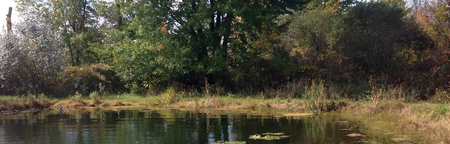The back yard of a dear cousin of mine.. Beautiful Michigan..