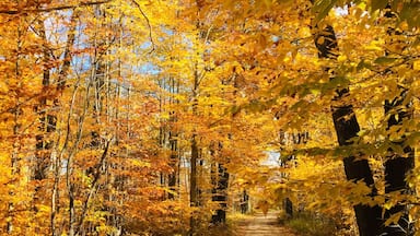 A beautiful Club 20 minutes south of Alpena.