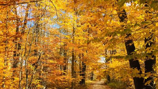 A beautiful Club 20 minutes south of Alpena.