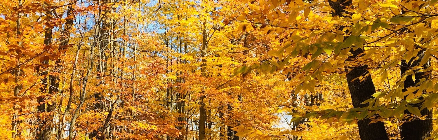 A beautiful Club 20 minutes south of Alpena.