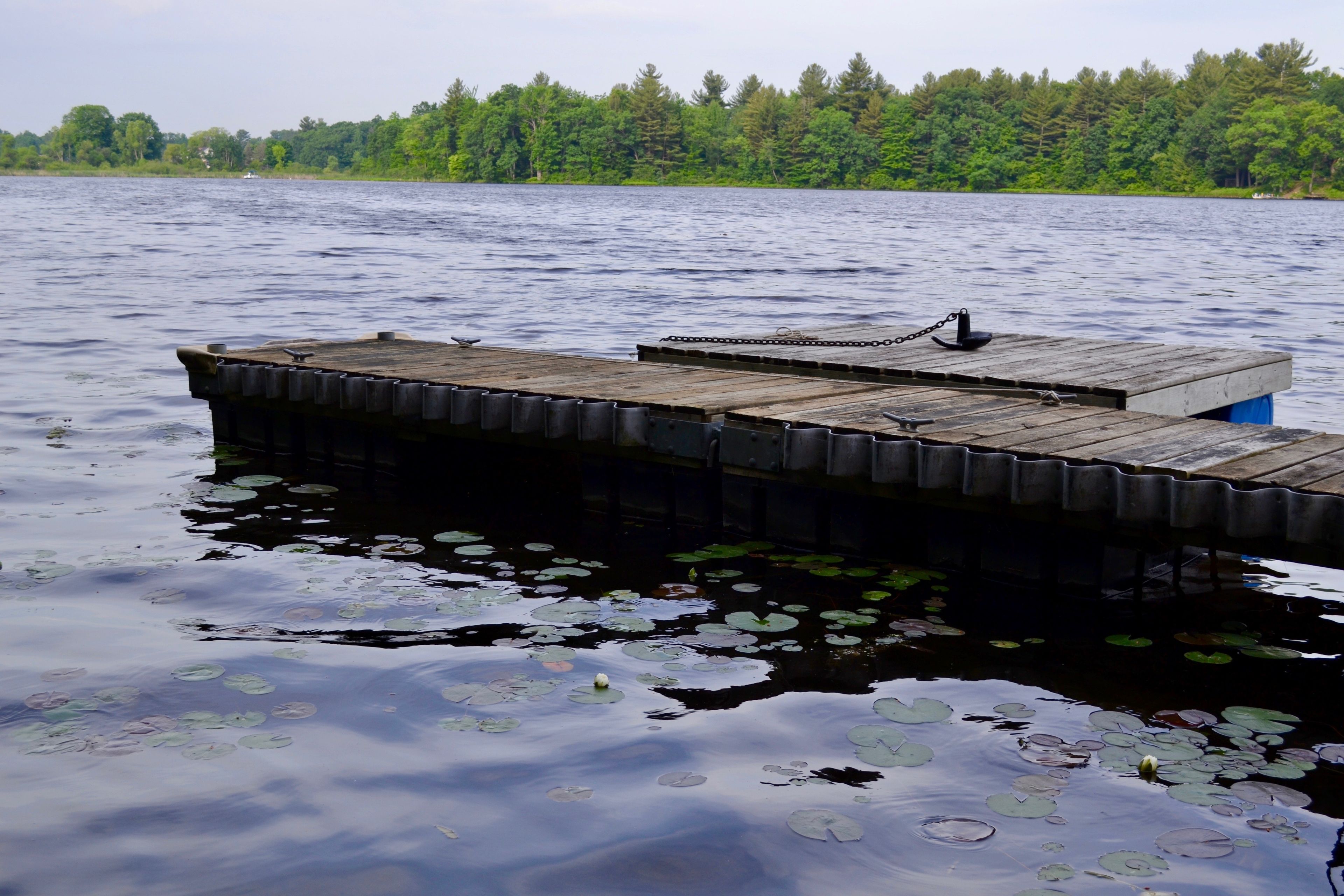 A dock on a lake in Greenville, Michigan