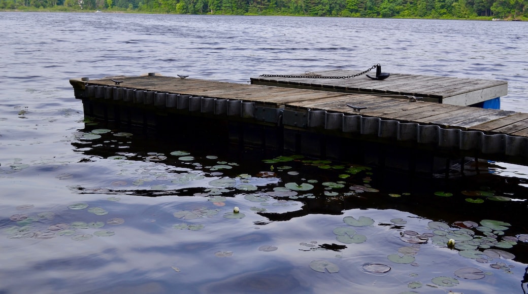 A wooden dock extending into a lake with lily pads on the water.