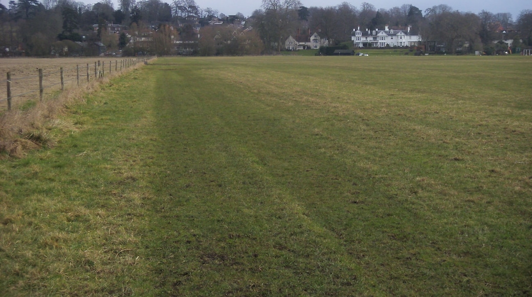 Path to the River Path to the River Thames with Wargrave on the far bank