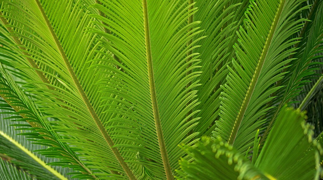 A beautiful botanical garden. Worth a visit if in the area.