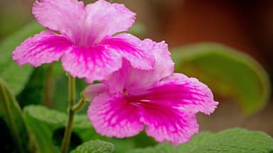 A beautiful botanical garden. Worth a visit if in the area.