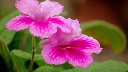 A beautiful botanical garden. Worth a visit if in the area.