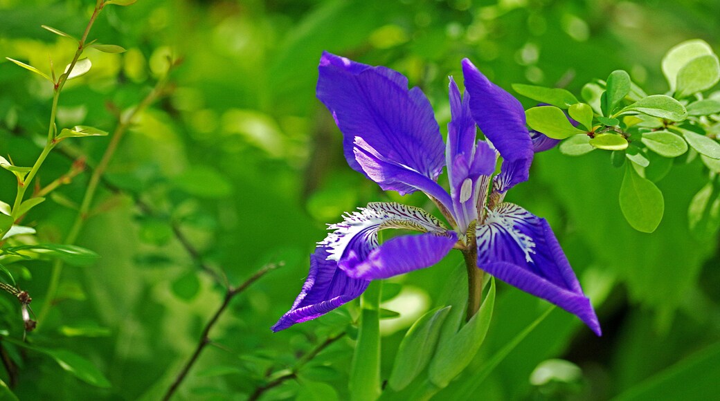 A beautiful botanical garden. Worth a visit if in the area.