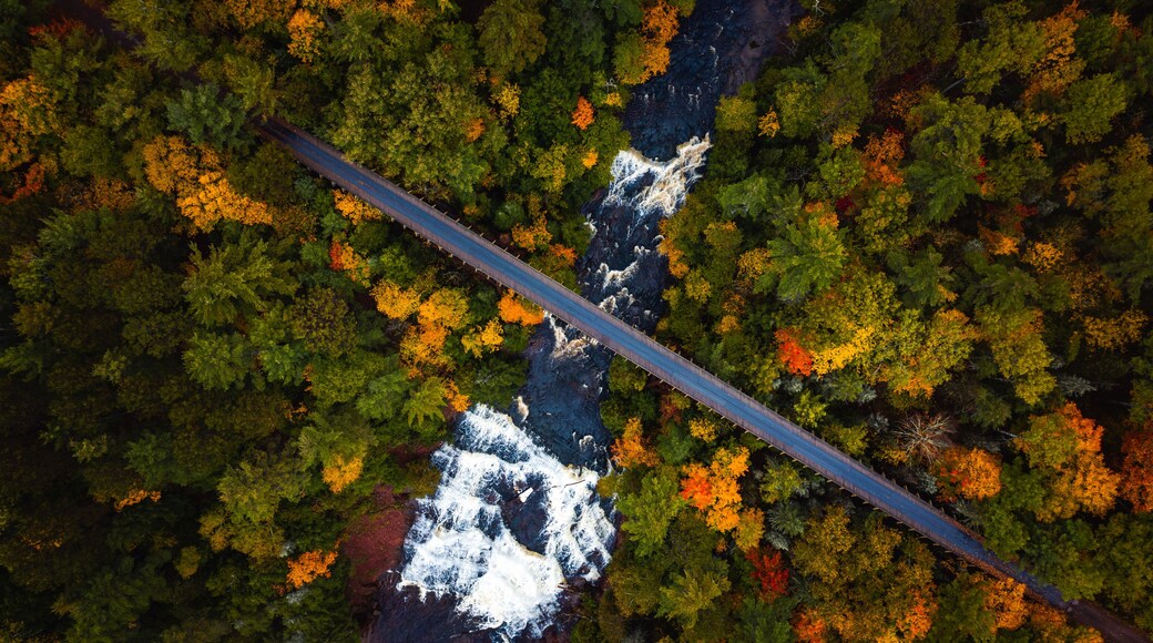 An aerial view of a river with a bridge crossing over it, surrounded by dense forest with autumn foliage.