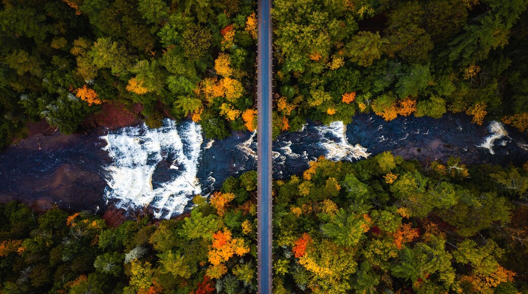 An aerial view of a forest with a river, a bridge, and autumn foliage.