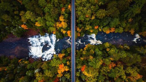 Trout Creek