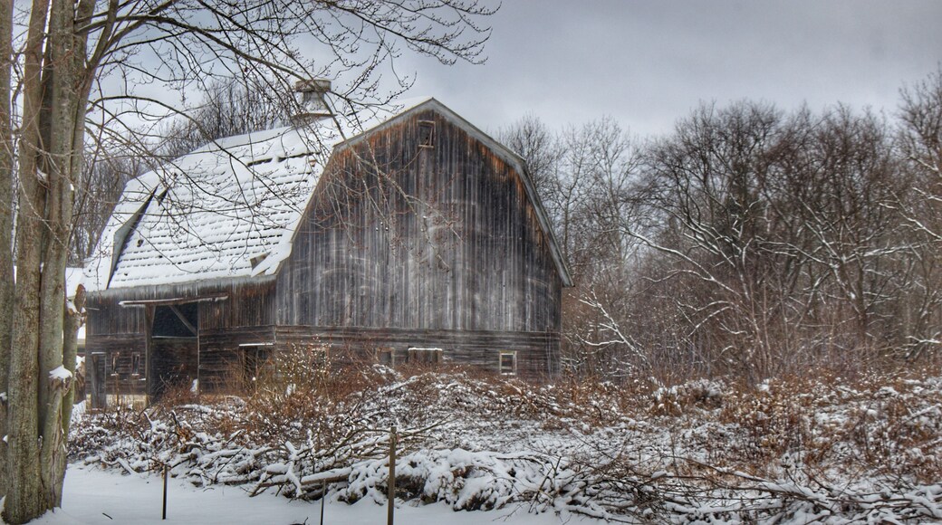 0914 - Vassar Road Grey in Winter (0914-BAR-020720-1158A)