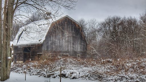 0914 - Vassar Road Grey in Winter (0914-BAR-020720-1158A)