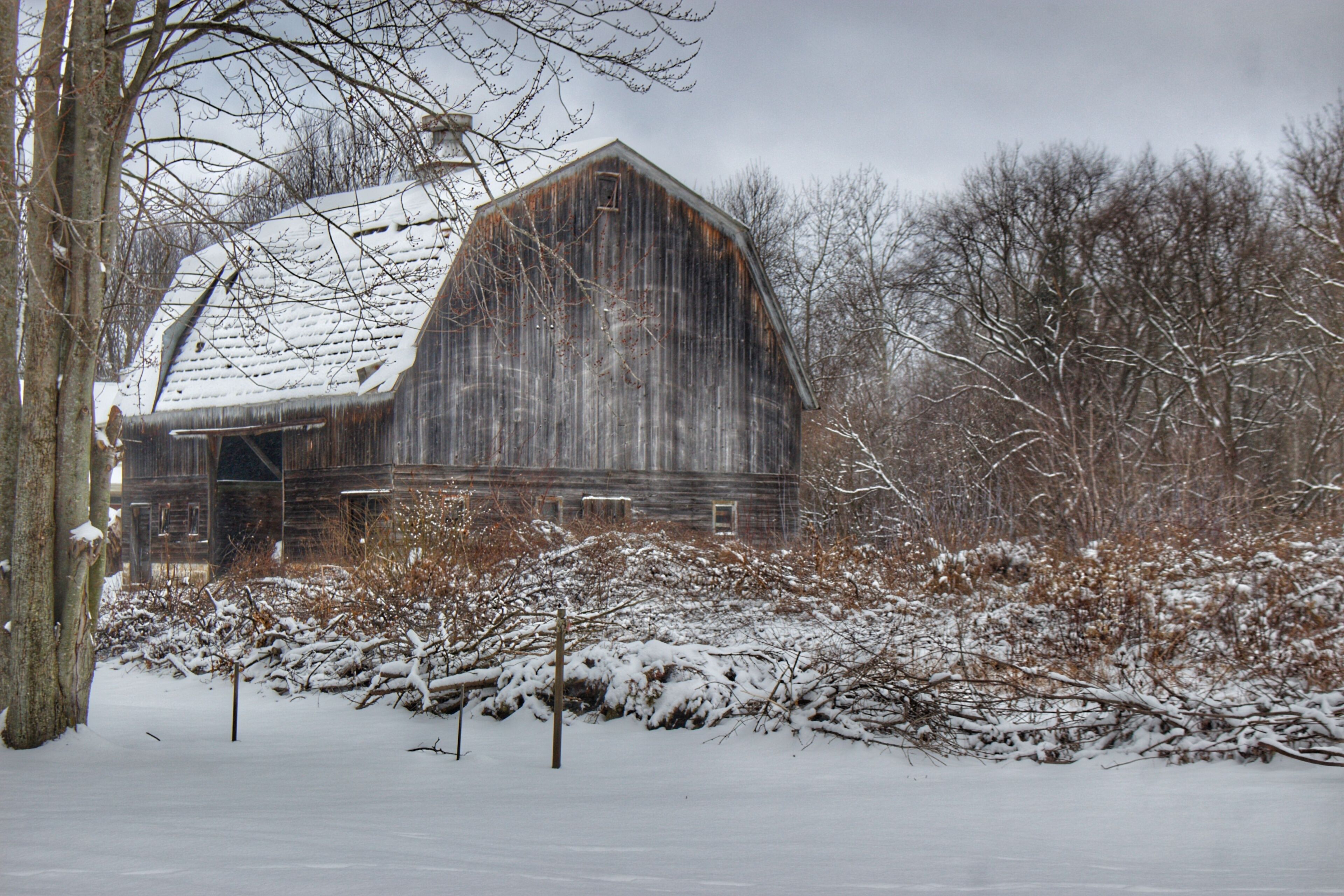 A snow-covered barn surrounded by bare trees and bushes.