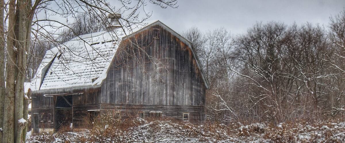A snow-covered barn surrounded by bare trees and bushes.