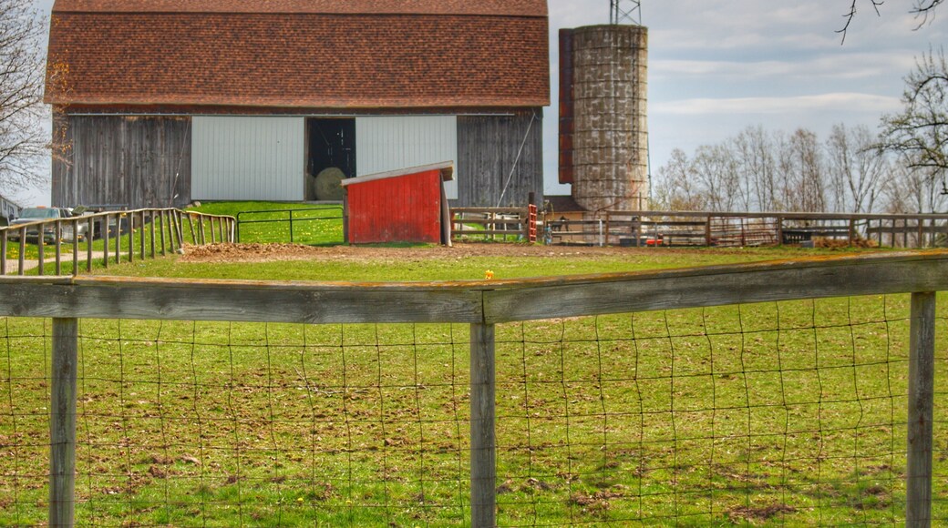 North Vassar Road Grey