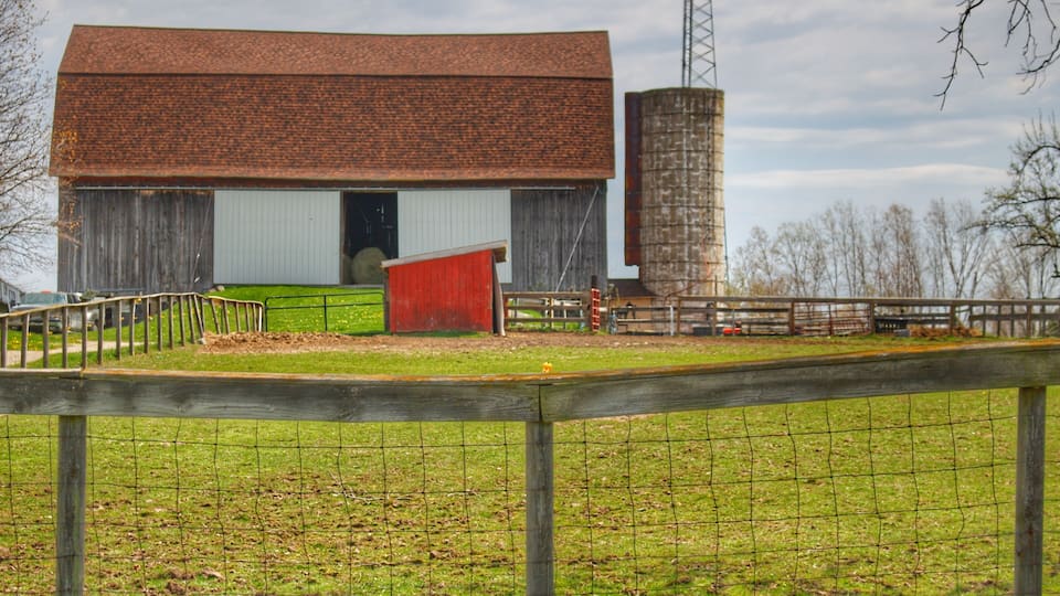 A barn with a red roof, a silo, and a fenced area.
