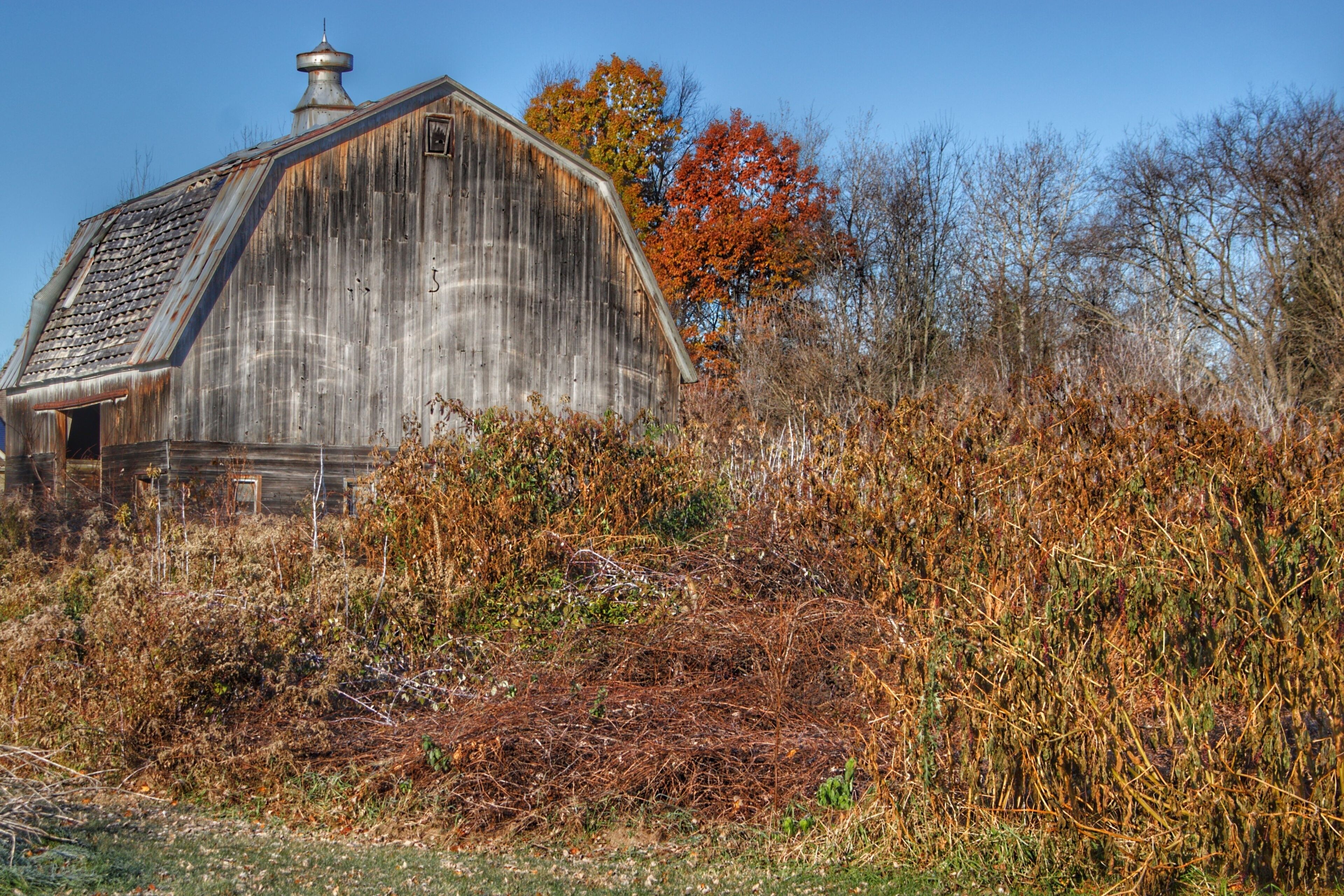 0749 - Vassar Road Grey II (0749-BAR-110819-1004A)