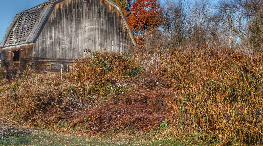 0749 - Vassar Road Grey II (0749-BAR-110819-1004A)