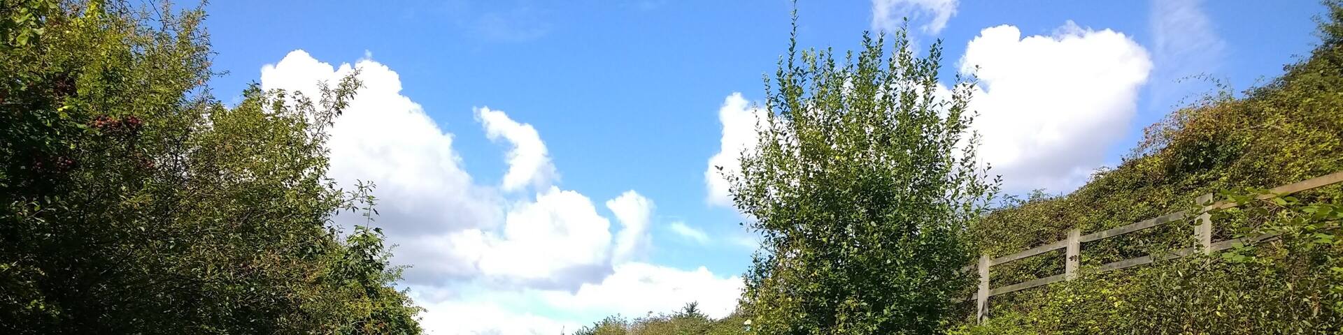View of the Avocet Line from the Exe Estuary Trail, between Exmouth and Lympstone.
