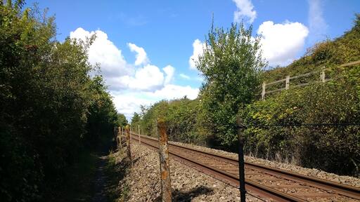 View of the Avocet Line from the Exe Estuary Trail, between Exmouth and Lympstone.