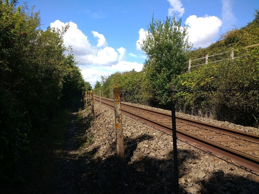 View of the Avocet Line from the Exe Estuary Trail, between Exmouth and Lympstone.