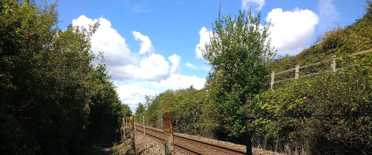 A railway track with a fence and trees on both sides.