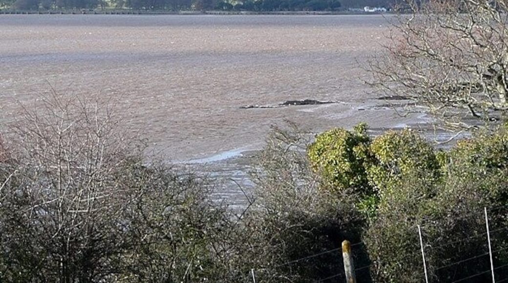 Across to Powderham A view from the cycle path adjacent to the railway line south of Lympstone. This looks across the Exe estuary towards Powderham Castle. The foreshore on this side is quite narrow at this point. It is still three hours before high tide.