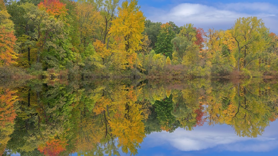 A calm lake reflecting autumn trees with green, yellow, and red foliage.