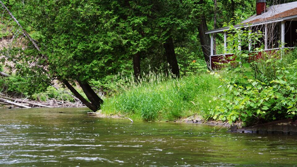Pine River Scenic River, Wellston, Michigan