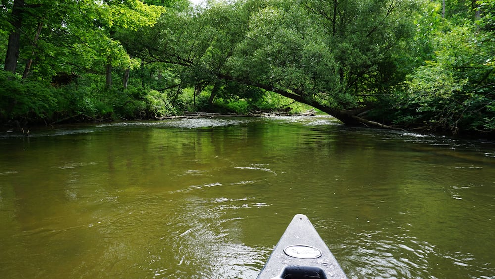 Pine River Scenic River, Wellston, Michigan