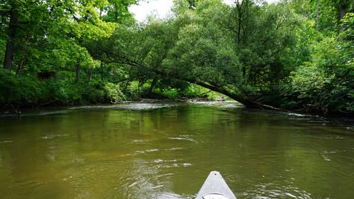 بلدة نورمان